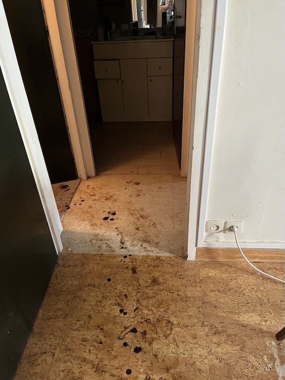 Photo nettoyage logement insalubre